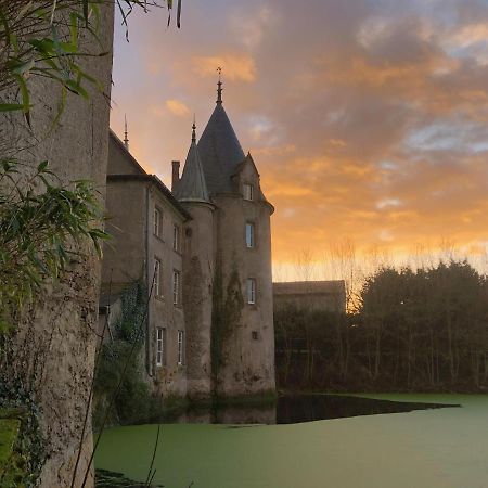 Chateau De La Preuille Gites Montaigu-Vendee Exterior foto