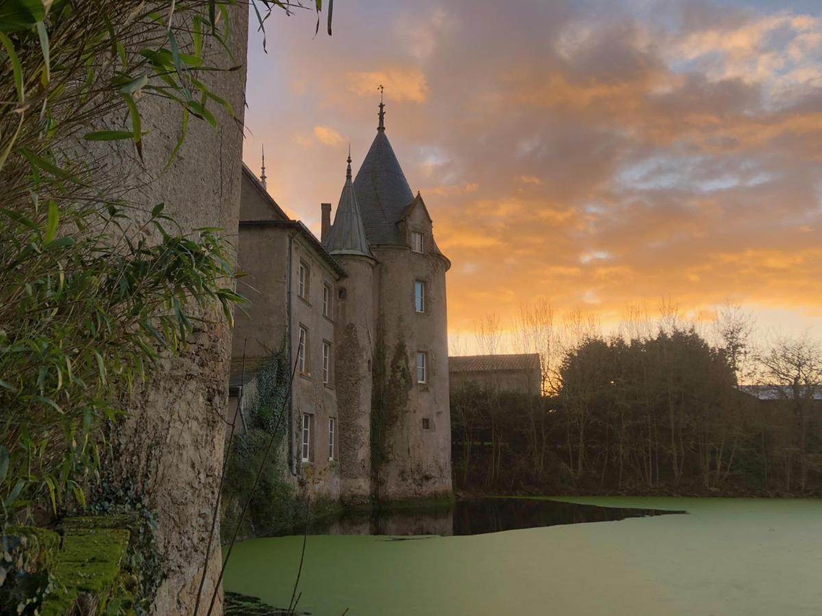 Chateau De La Preuille Gites Montaigu-Vendee Exterior foto