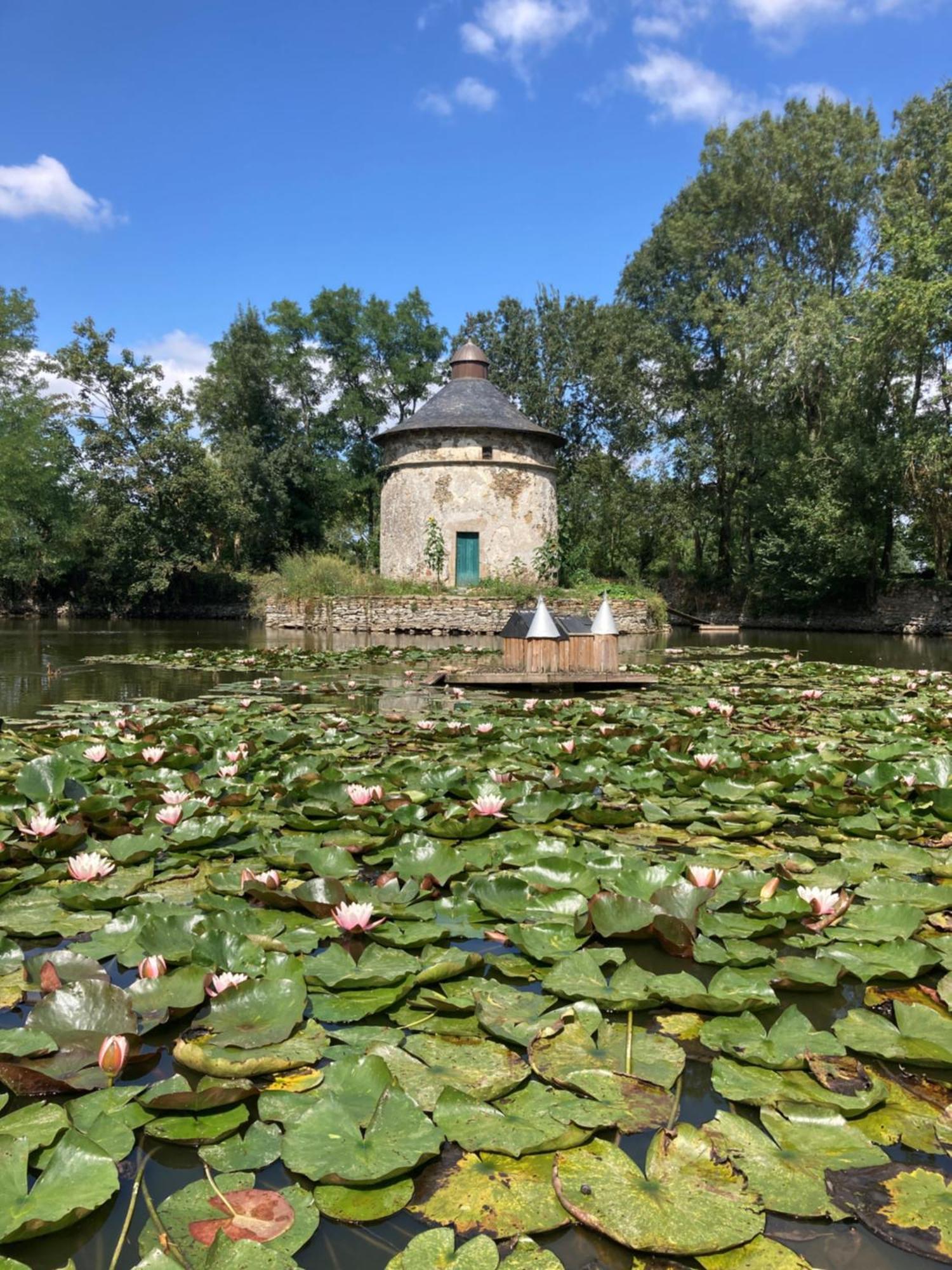 Chateau De La Preuille Gites Montaigu-Vendee Exterior foto