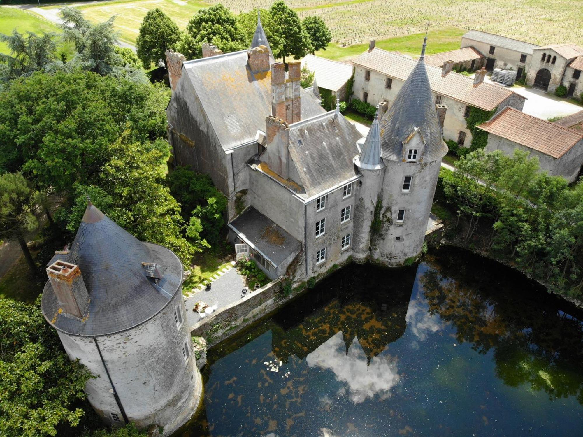 Chateau De La Preuille Gites Montaigu-Vendee Exterior foto