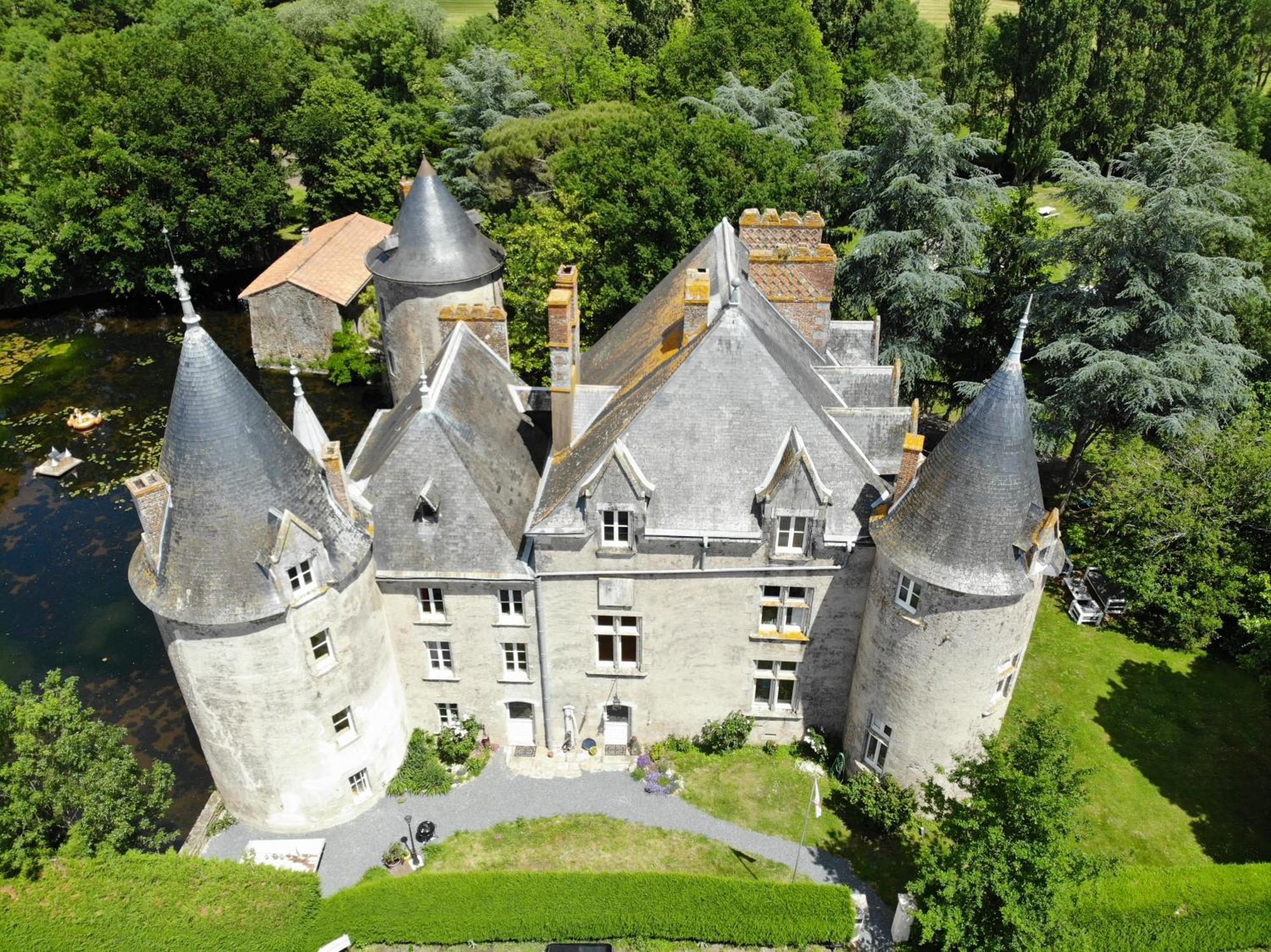 Chateau De La Preuille Gites Montaigu-Vendee Exterior foto